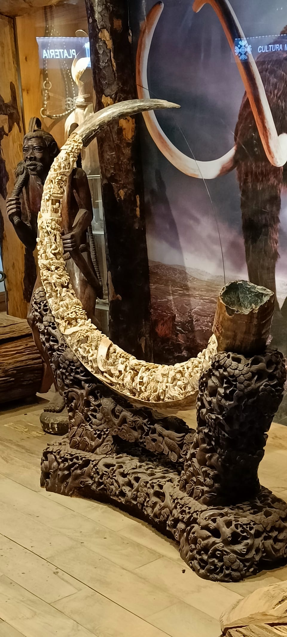 Ein Mammutstoßzahn aus Sibirien, der in China mit lokalen Motiven eingeschnitzt wurde und durch eine Schenkung nun hier gelandet ist.