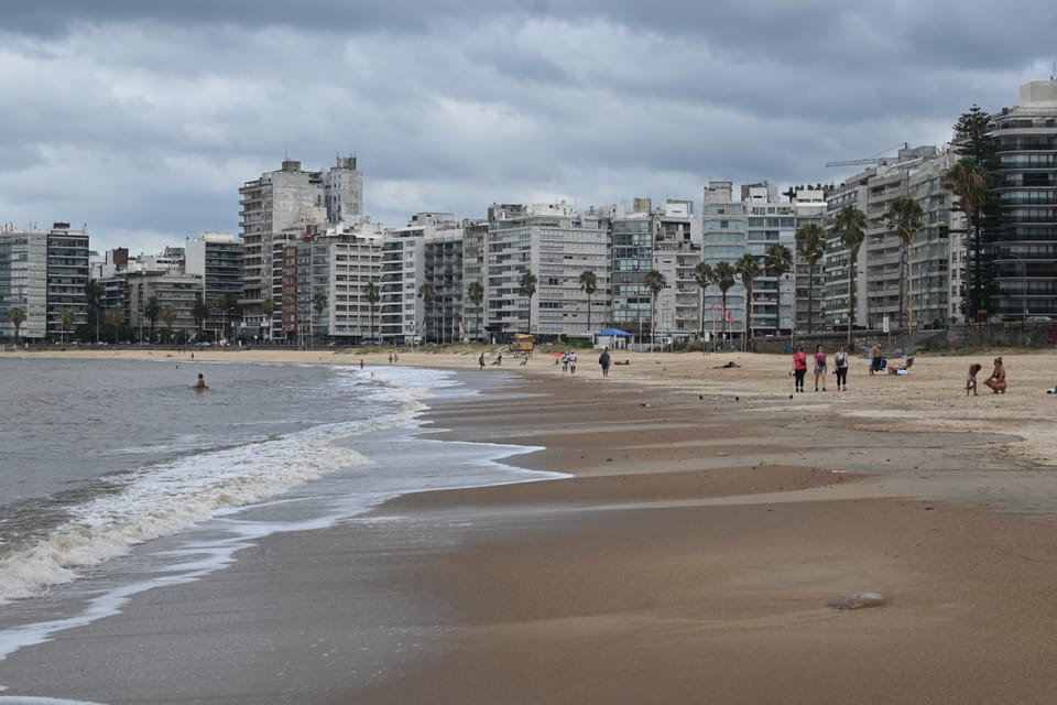 Ein Strand von vielen in der Stadt, die auch rege genutzt werden. Natürlich mit Palmen.