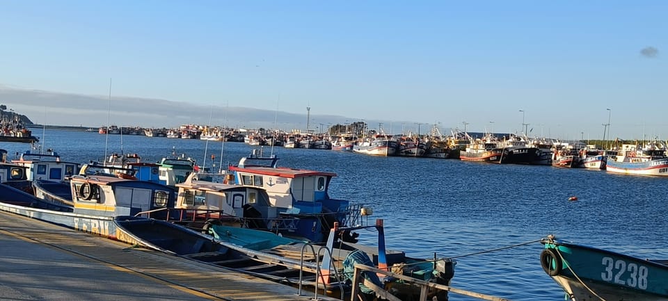 Romatische Hafenansicht bei Sonnenuntergang mit vielen Fischerbooten im Hafen